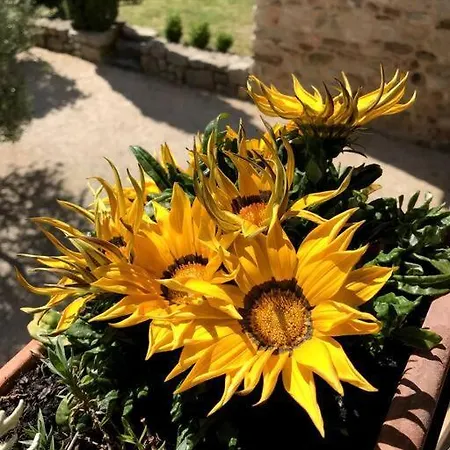 Mas De Salavert Βίλα *